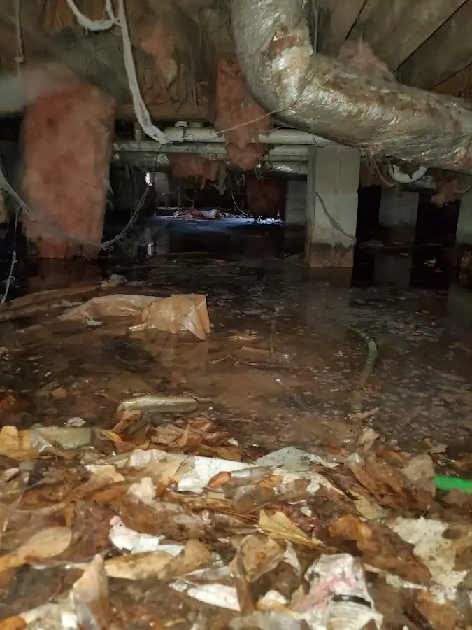 Crawl space flood assessment for Commercial Water Damage Restoration in Fraser