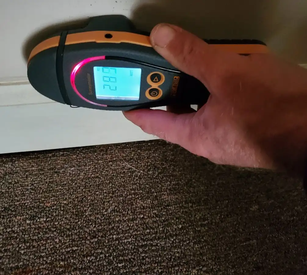 Moisture detection at baseboard during Sewage Cleanup & Sanitation in Fraser